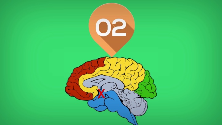Non-24-hour circadian disorder explained (YouTube)